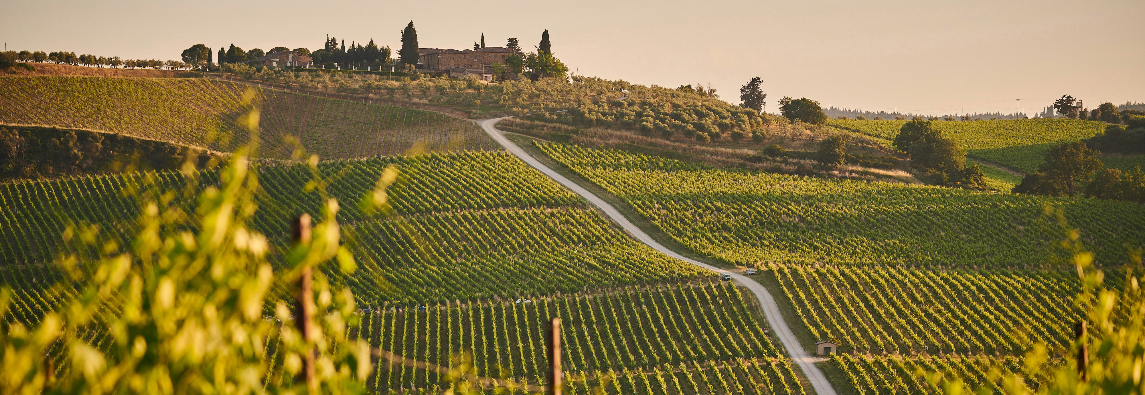 Toscana landskap