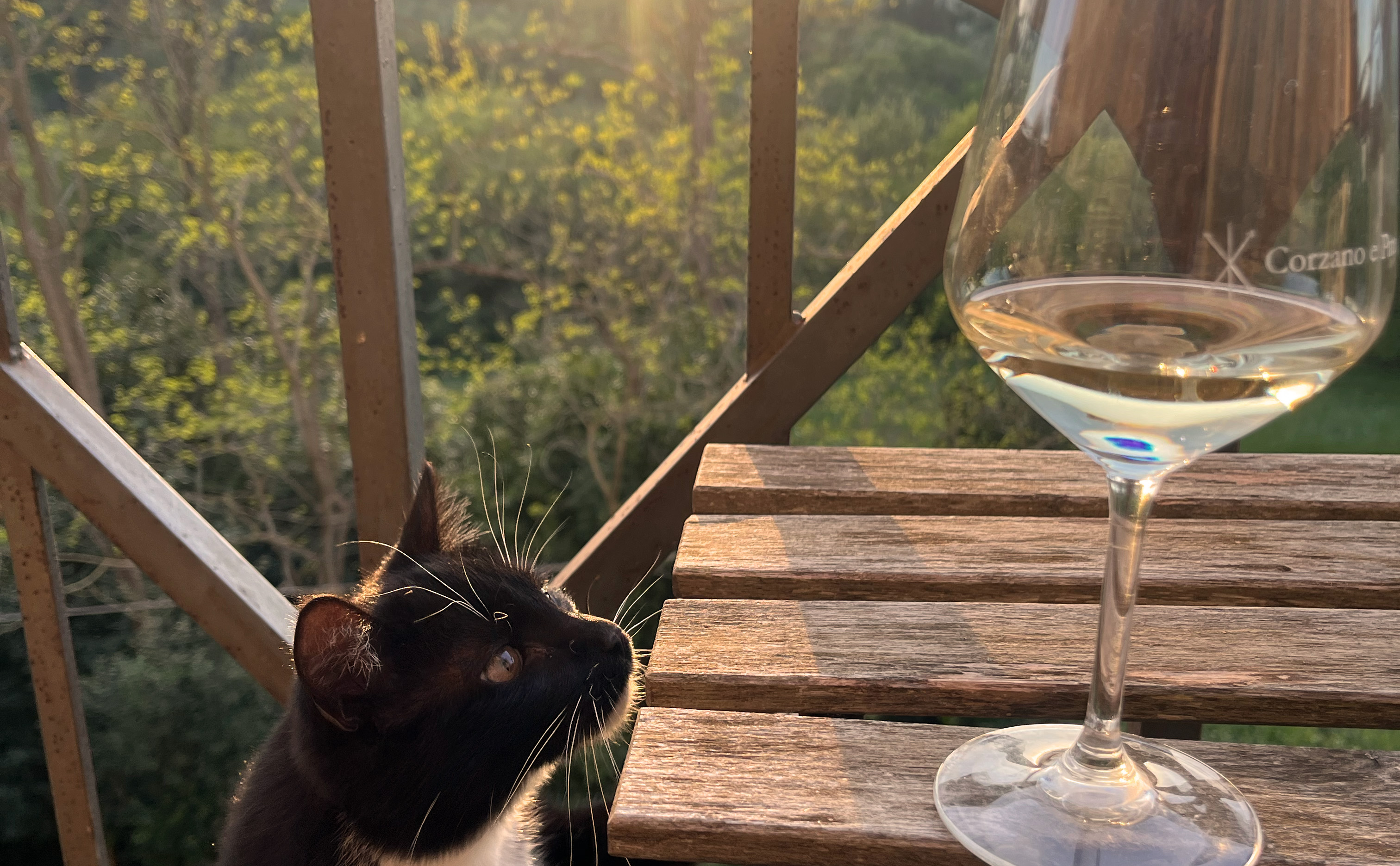 Toscanskt vin